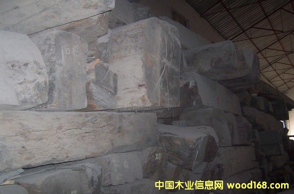 �c(di��n)���鿴����t��֦�Ŵ�DƬ