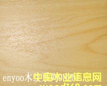 PVC�@���(ch��ng)�صذ�