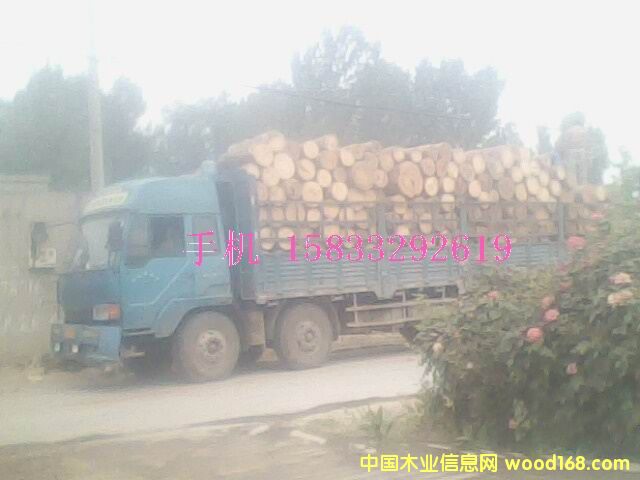 �c���鿴������ľ�^�Ŵ�DƬ