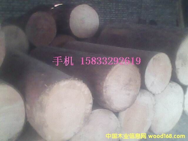 �c���鿴������ľ�^�Ŵ�DƬ