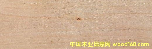 �����Ԕ��(x��)��B