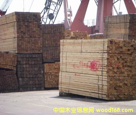 ��ľ��Ԕ��(x��)��B