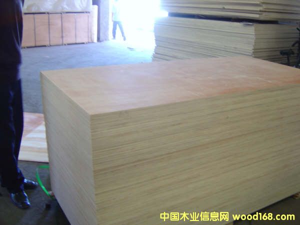 �c(di��n)���鿴ɳ�l(f��)��Ŵ�DƬ