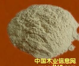 �c(di��n)���鿴ɰ��۷Ŵ�DƬ