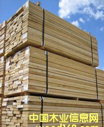 �c(di��n)���鿴�t��Ŵ�DƬ