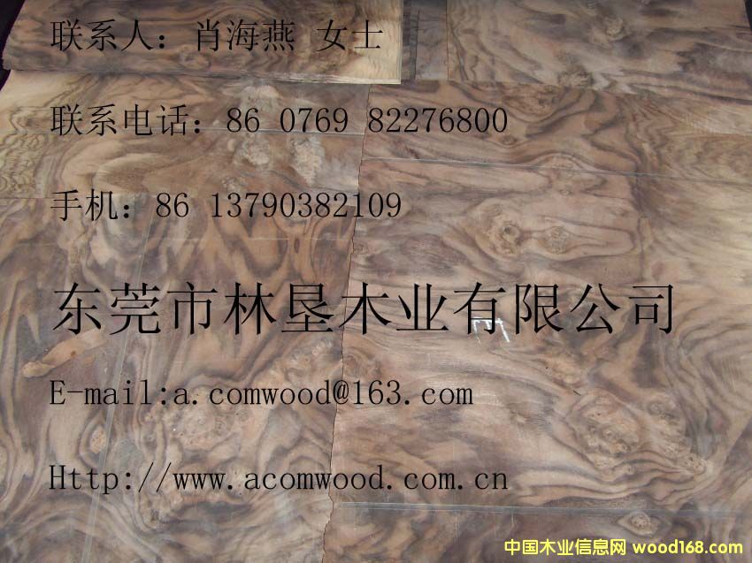 �ں��Ҙ�(sh��)��