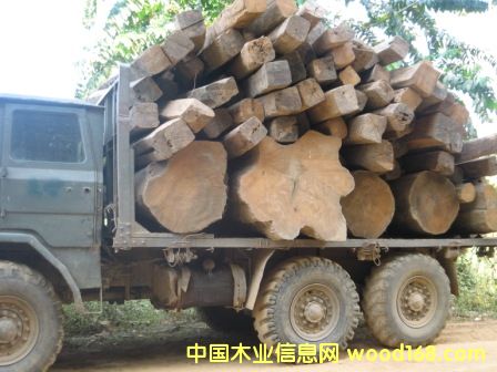 ������ľ��Ԕ��(x��)��B