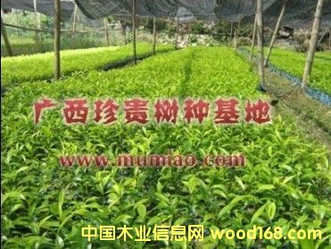 �c(di��n)���鿴������D�Ŵ�DƬ