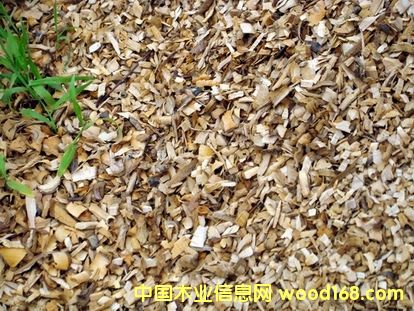 ʳ�þ�ľм��Ԕ��(x��)��B