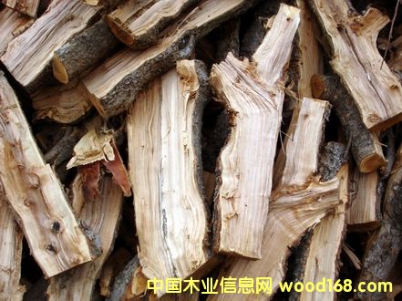 ��ľ���Ԕ��(x��)��B