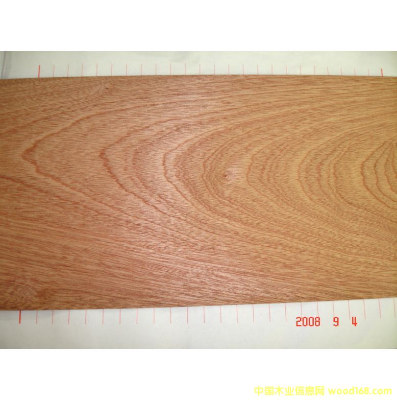 �c(di��n)���鿴ɳ�����Ŵ�DƬ