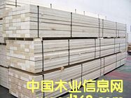 ���b���͙Cе�Æΰ�ӷe�ģ����挍ľ��Ѭ��