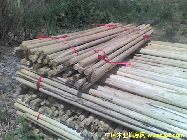 ��ľ�S��Ԕ��(x��)��B