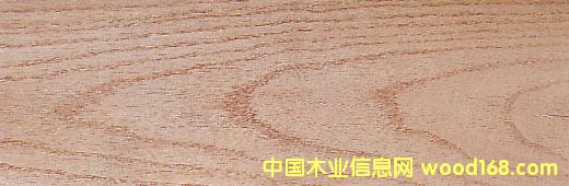 �t�� Red Oak��Ԕ��(x��)��B