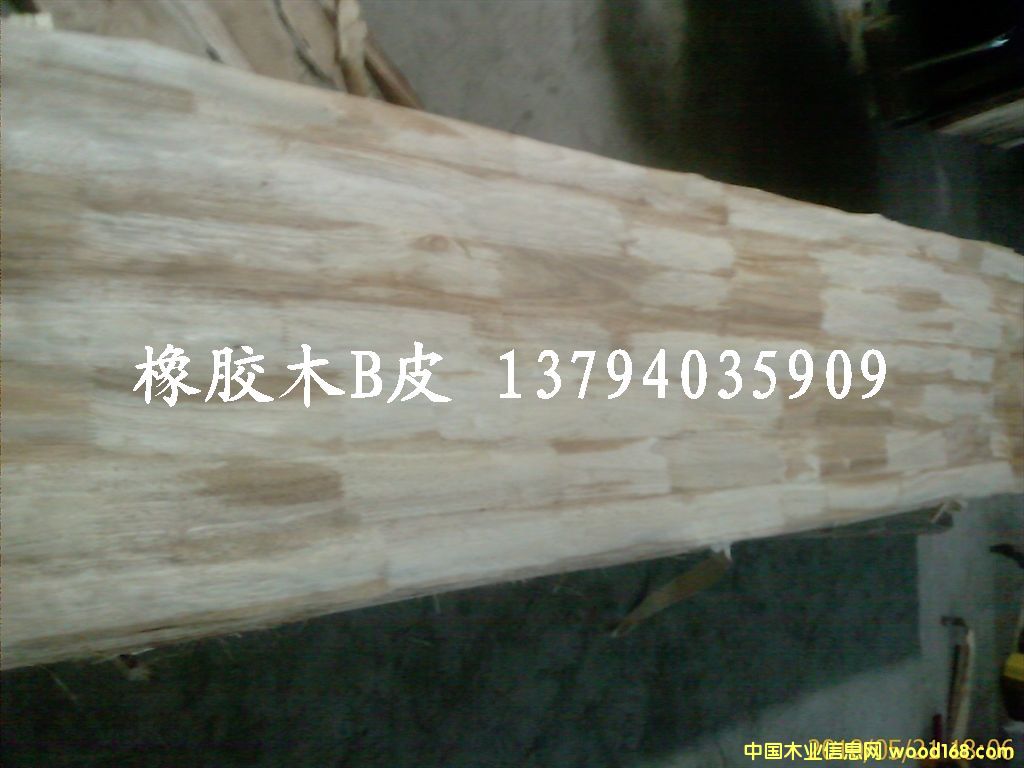 ���zľָ��Ƥ��Ԕ��(x��)��B