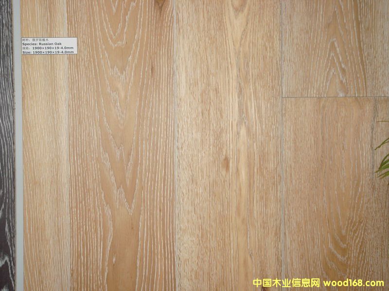 ��ľ��Ԕ����B