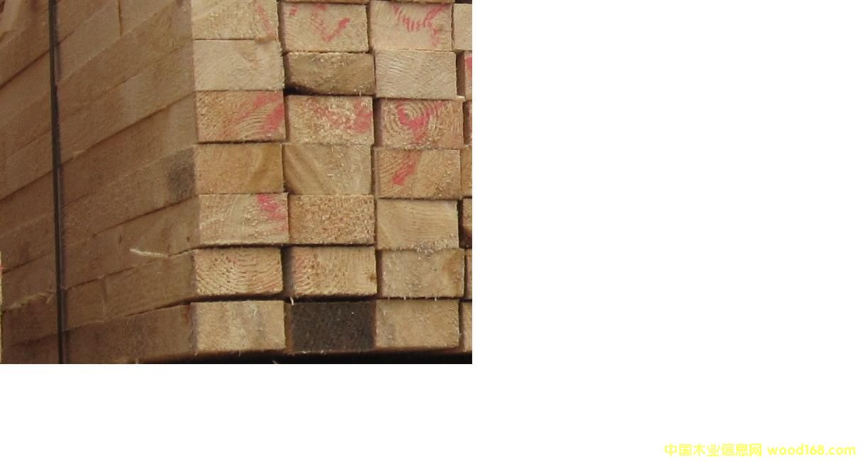 �Fɼ����ɼ��Ԕ��(x��)��B