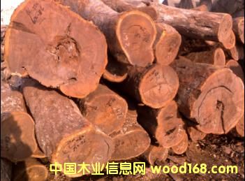 9��25�յ�Ƥ�ҵ�Ԕ����B