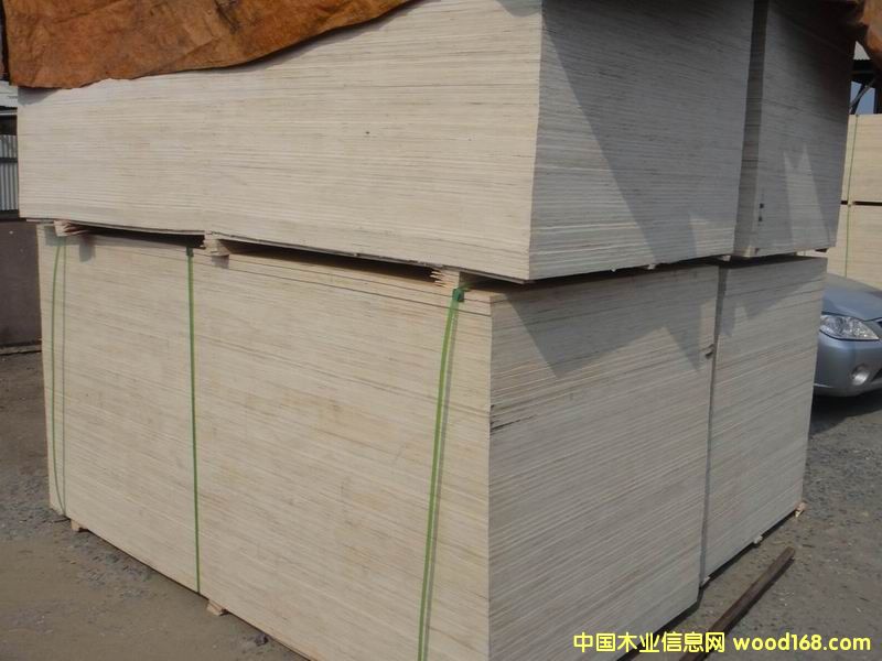 ��ϰ��Ԕ��(x��)��B