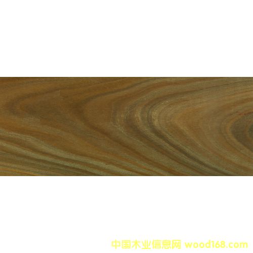 �G̴�ذ�����