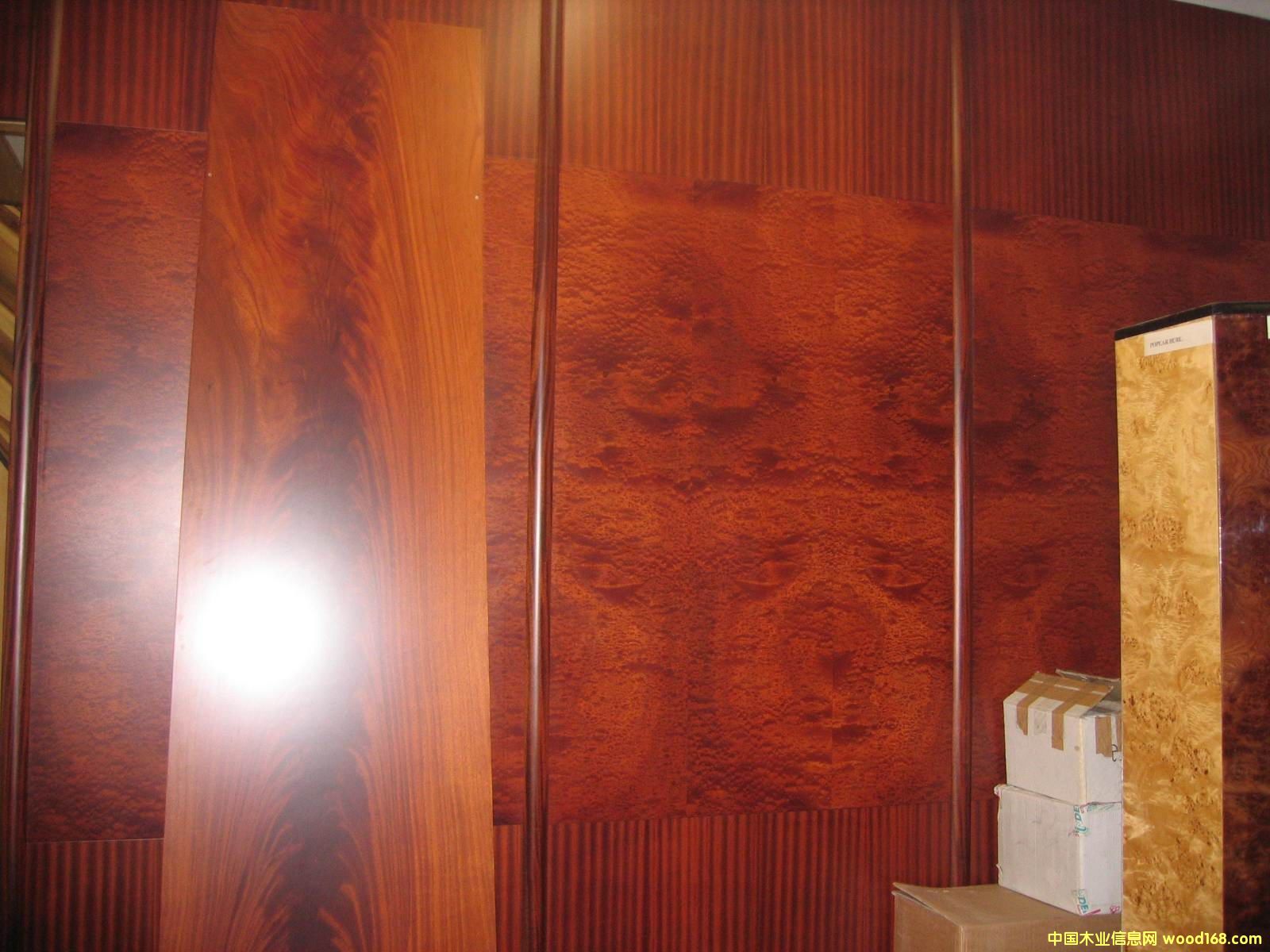 ��yɳ������ɳ������y