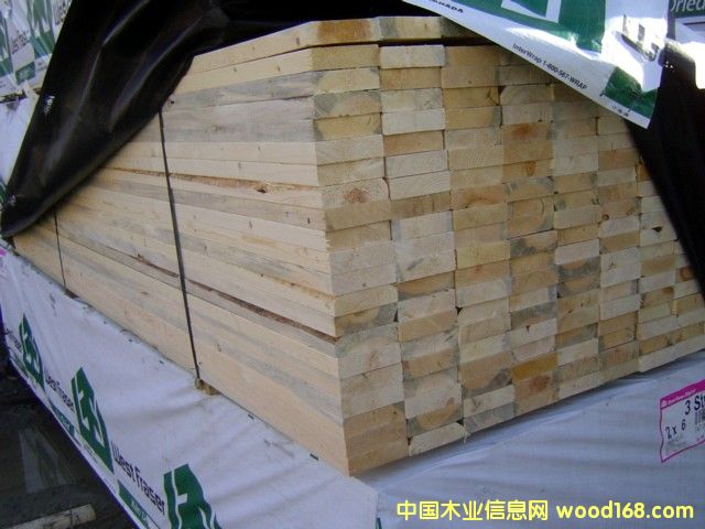 �����ɺ��Fɼ���2-3�� ��Ԕ����B