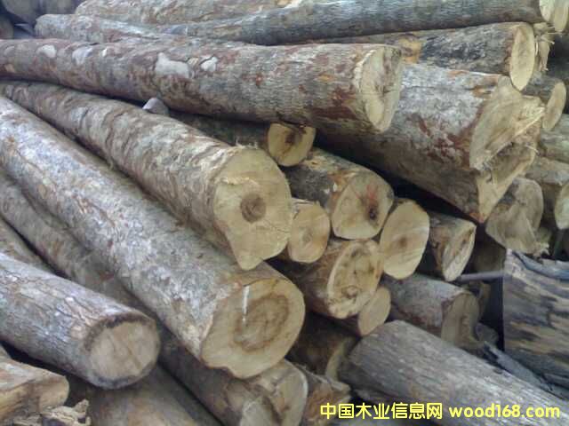 ɽ����ľ��Ԕ��(x��)��B