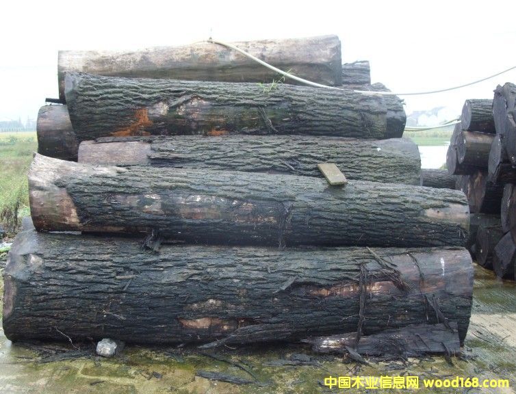 �ں���ԭľ��Ԕ����B