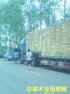 ��ľ�ΰ�����Ԕ��(x��)��B