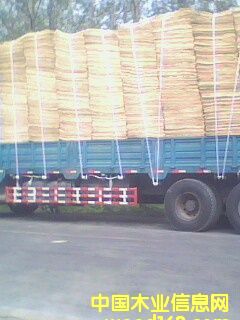 ��ľ�ΰ�/ľ�|(zh��)Ƭ�ĵ�Ԕ��(x��)��B