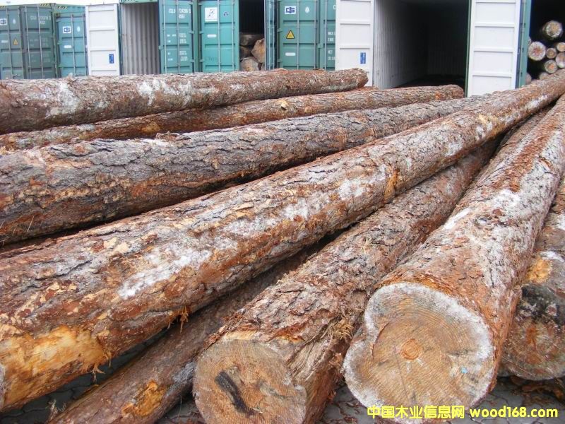 �����ɵ�Ԕ��(x��)��B