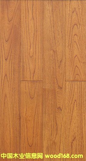 ��ľ--����ʥĸԺ