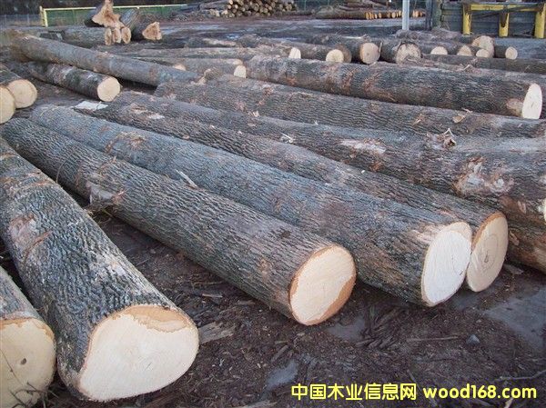 ����(gu��)ˮ������Ԕ��(x��)��B