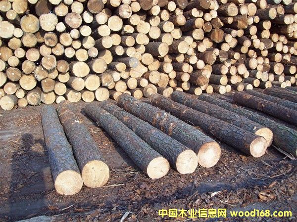 ����(gu��)�S�ɵ�Ԕ��(x��)��B