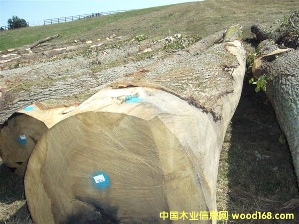 ����(gu��)�����Ԕ��(x��)��B