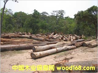 �t���ҵ�Ԕ��(x��)��B