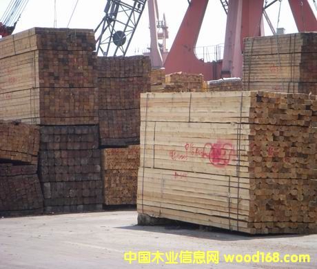 ���_˹�M�ڰ���ľ����Ԕ����B