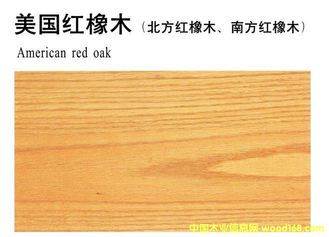 ����(gu��)�t��ľ��Ԕ��(x��)��B