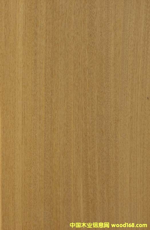 ��z�ֵ�Ԕ����B