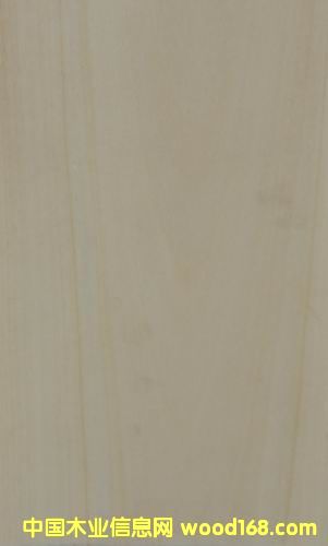 ���ϰט��Ԕ����B