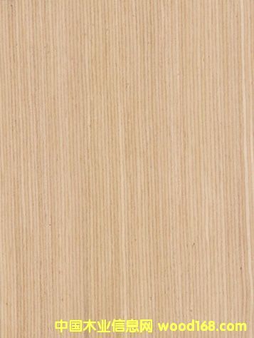 �Ƽ�ľľƤ��Ԕ����B