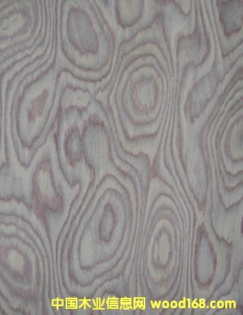 �Ƽ�ľľƤ��Ԕ����B