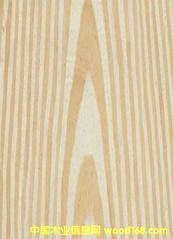 �Ƽ�ľľƤ��Ԕ����B