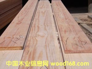 ݗ���ɟo��(ji��)���1��Ԕ����B