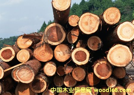 ��ľ��Ԕ��(x��)��B