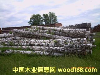 ��ľƴ���Ԕ����B