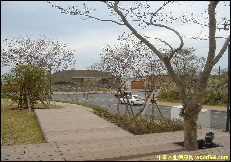 ��ľ�ذ嗣����Ԕ��(x��)��B