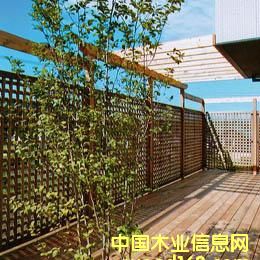 ���ڵ�Ԕ����B