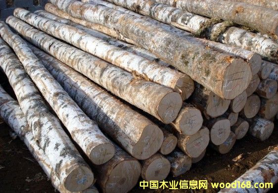 TIPA ������֦��܊��ľ-�����S̴����Ԕ��(x��)��B