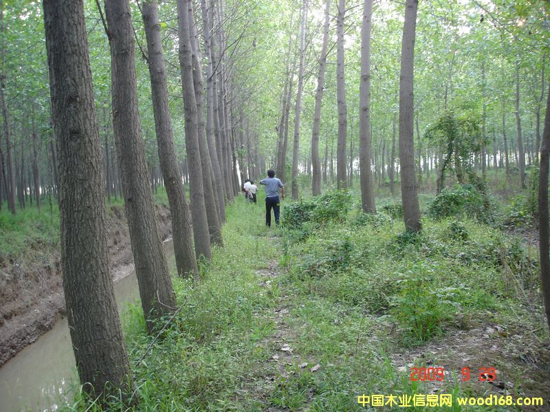 ��ľԭľ��Ԕ��(x��)��B